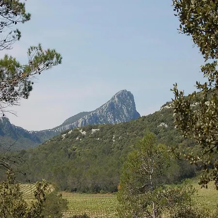 Prázdninový dům Domaine Du Bois Marion Galargues