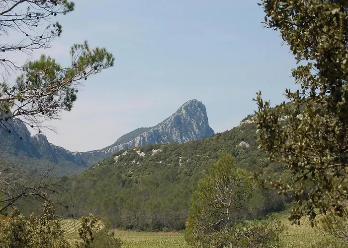 別荘 Domaine Du Bois Marion Galargues